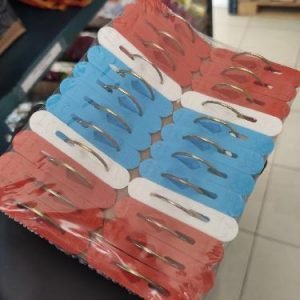 PINZA COLOR C/24 PZS